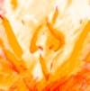 the_phoenix's Avatar